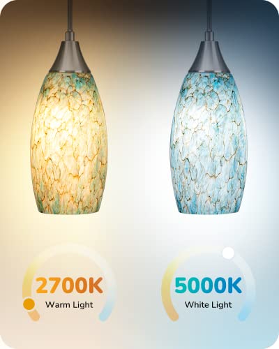 Plug in Pendant Light with 15FT Adjustable Cord