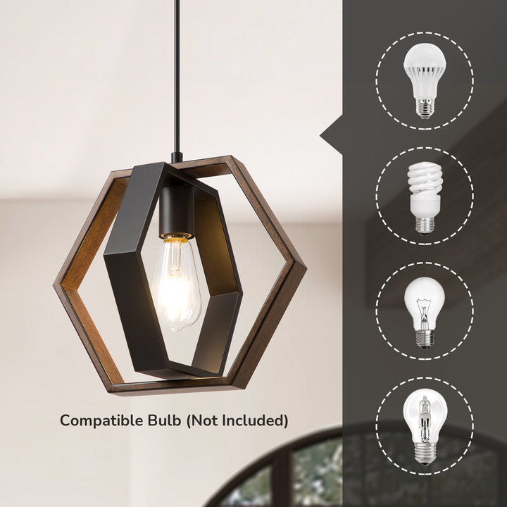 Pendant Lights, Adjustable Height (1 Pack)-HHPL14C