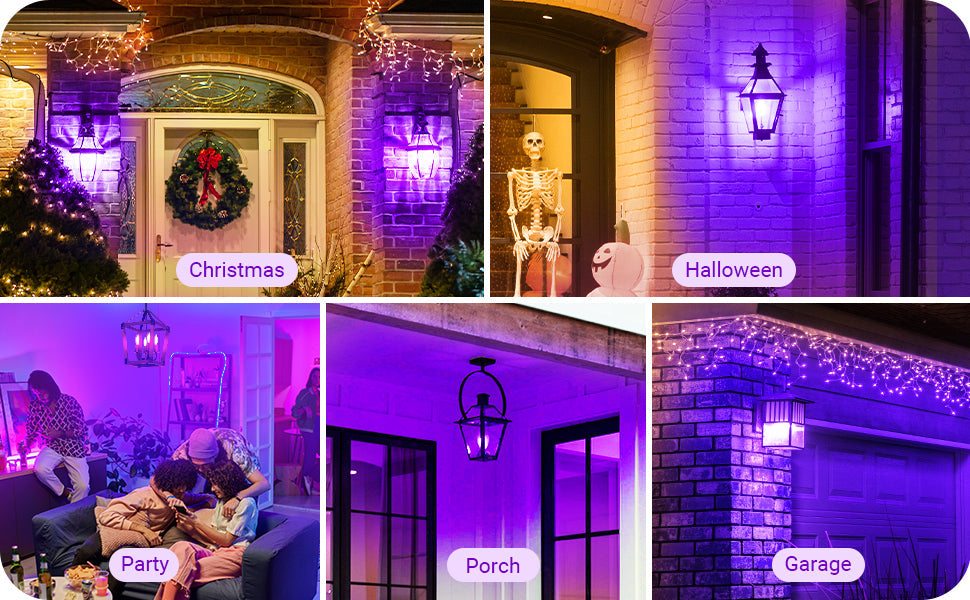 6 Pack Dimmable Purple Light Bulb-HDCF35A