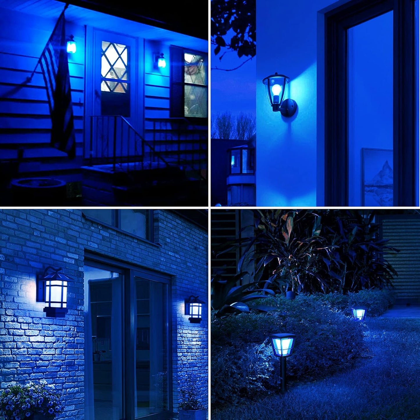 2 Pack A19 LED Blue Light Bulb