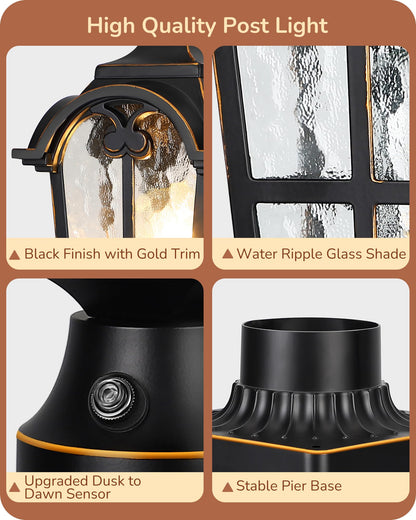 Black Roman Waterproof Pole Lantern Fixture