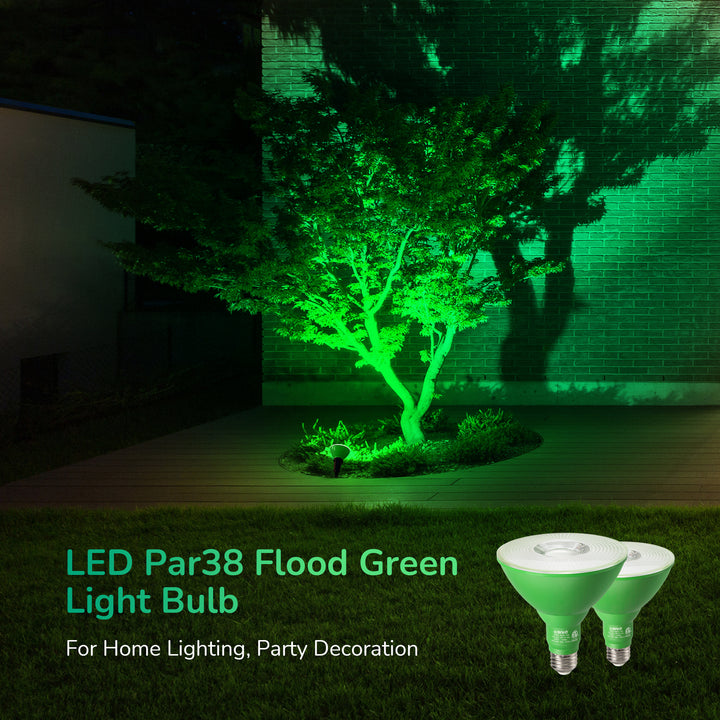 EDISHINE 18W Dimmable Green Flood Light Bulbs (2 Pack)-HLBP38E