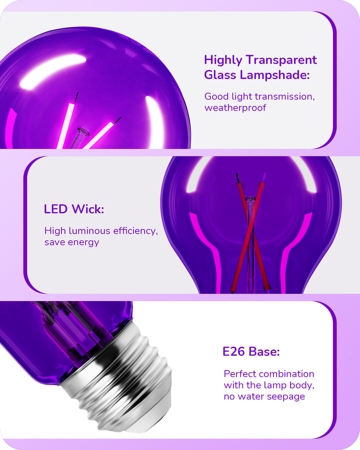 EDISHINE 4 Pack Dimmable Purple Light Bulb-HDCF19A