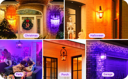 6 Pack Dimmable Purple & Orange Light Bulb-HDCF35C