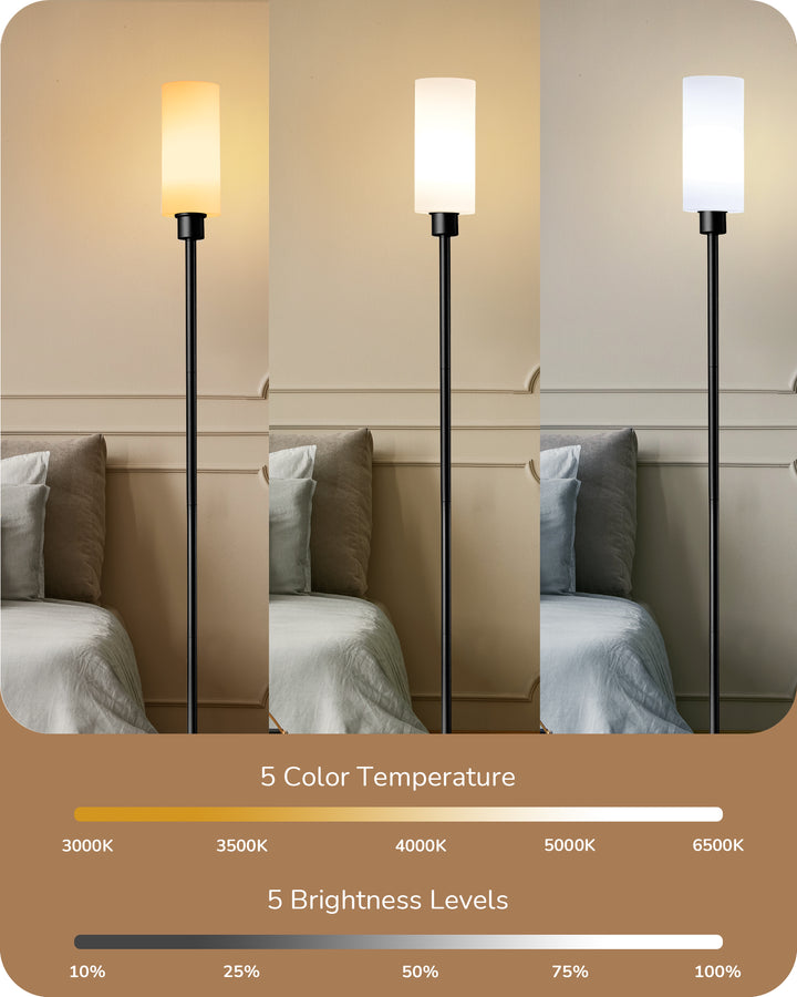 EDISHINE 65" Black Dimmable LED Corner Floor Lamp with Remote-HFLK09D