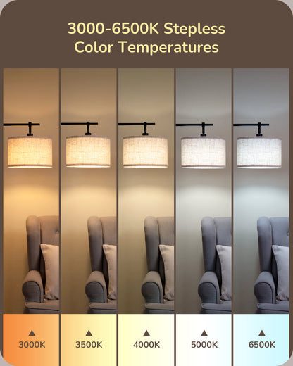 EDISHINE Dimmable Black Floor Lamp with Remote Control, 5 Color Temperature-HFLK54A