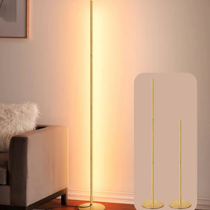 Modern Slim Dimmable LED Corner Floor Lamp, Gold-HFLCB1A