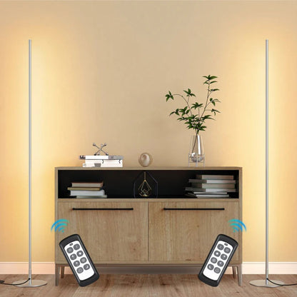 LED Corner Modern Floor Lamp with Remote Set of 2-HFLCB2C