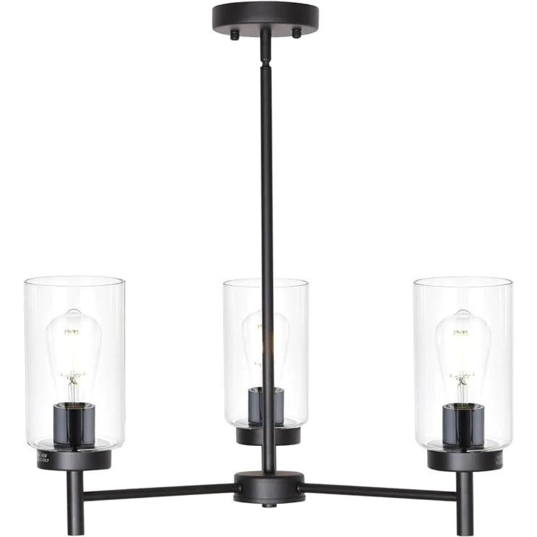 4-Light Chandelier, Matte Black theluminousdecor