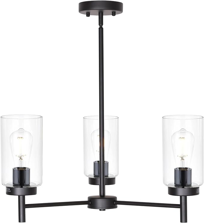 4-Light Chandelier, Matte Black theluminousdecor