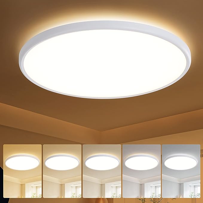 LED Ceiling Light for Living Room and Bedroom theluminousdecor